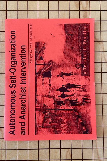 Autonomous Self-Organization & Anarchist Intervention